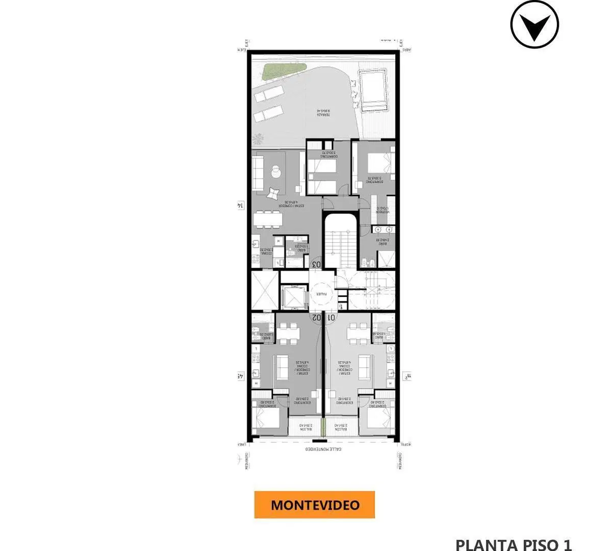 Plano 5