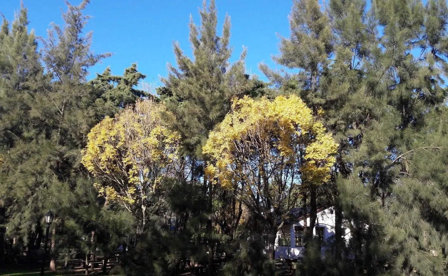 Terreno en venta Barrio Palos Verdes Country Club 4