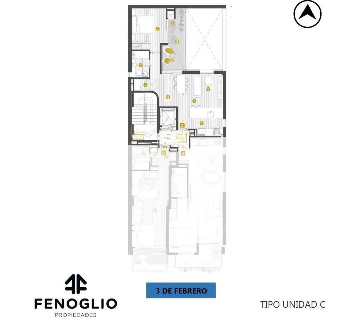 Plano 5