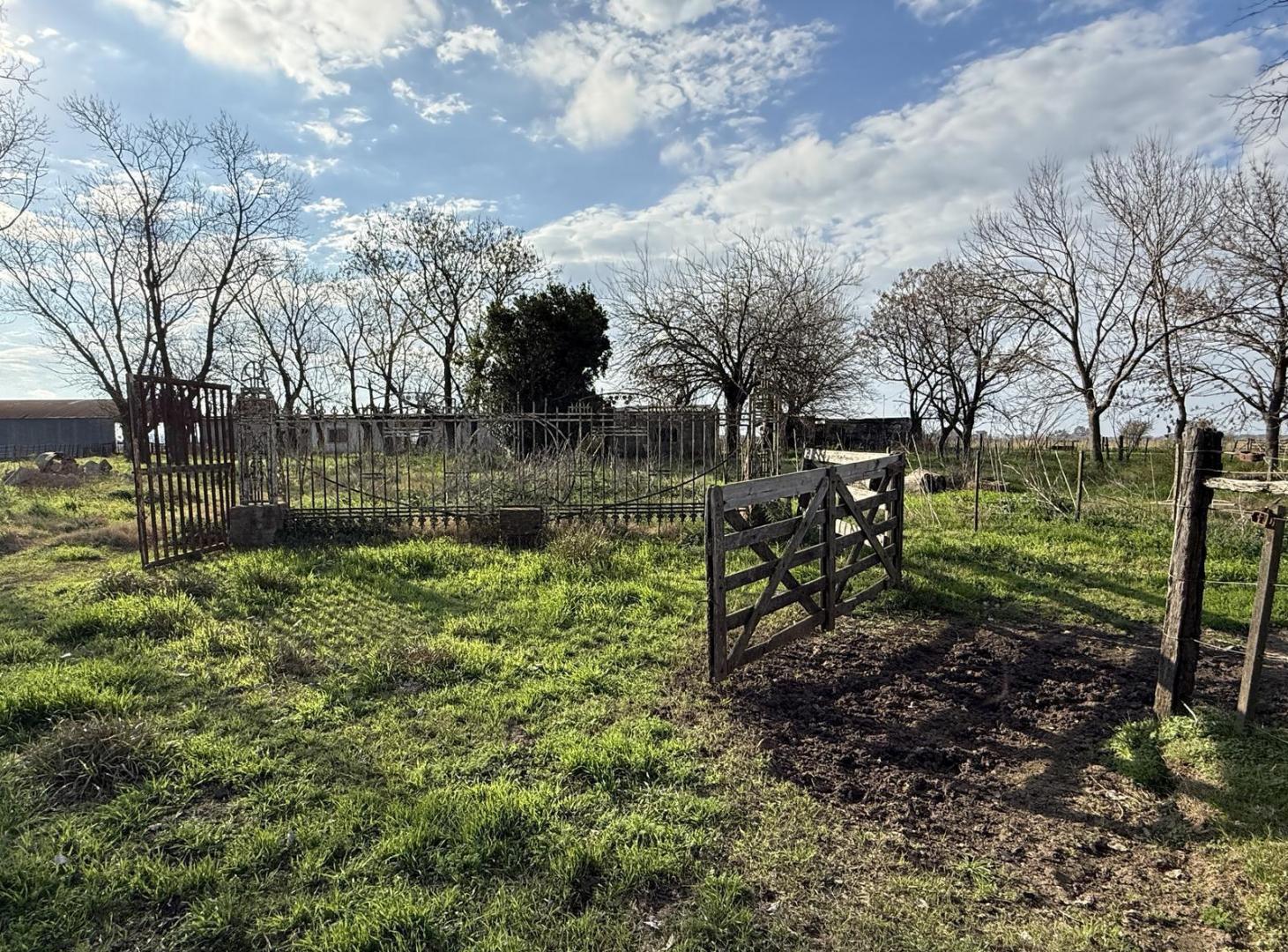 Foto de Campo en VENTA Villa Amelia, imagen 3
