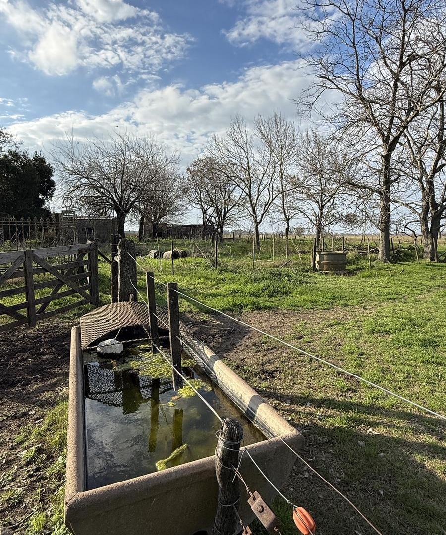 Foto de Campo en VENTA Villa Amelia, imagen 4