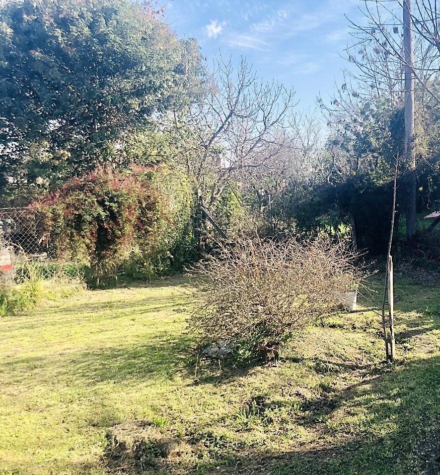 Venta| Casa en San Antonio de Areco 5