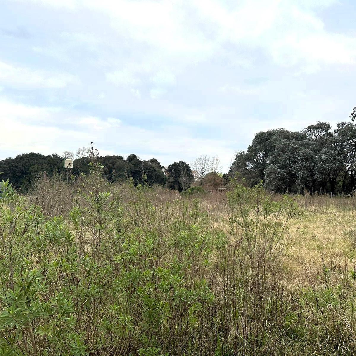 Venta| Terreno 2