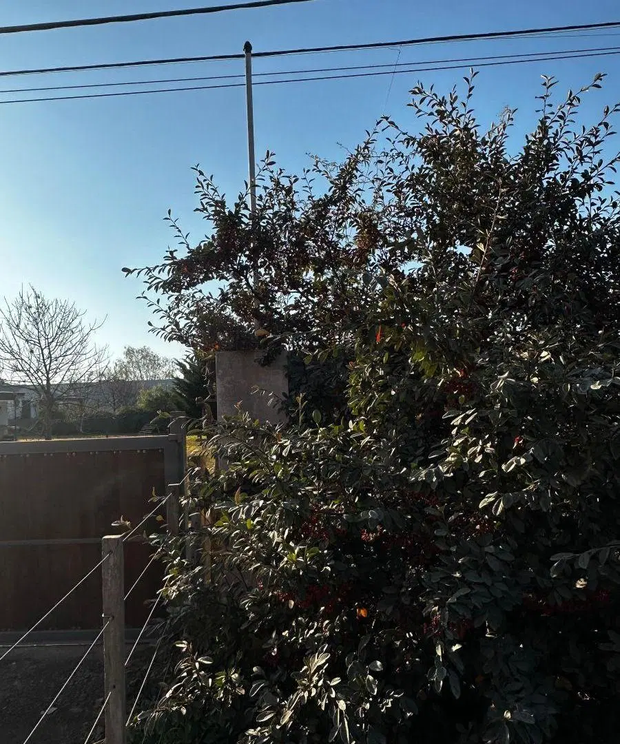 VENTA| Terreno S.A. de Areco 5