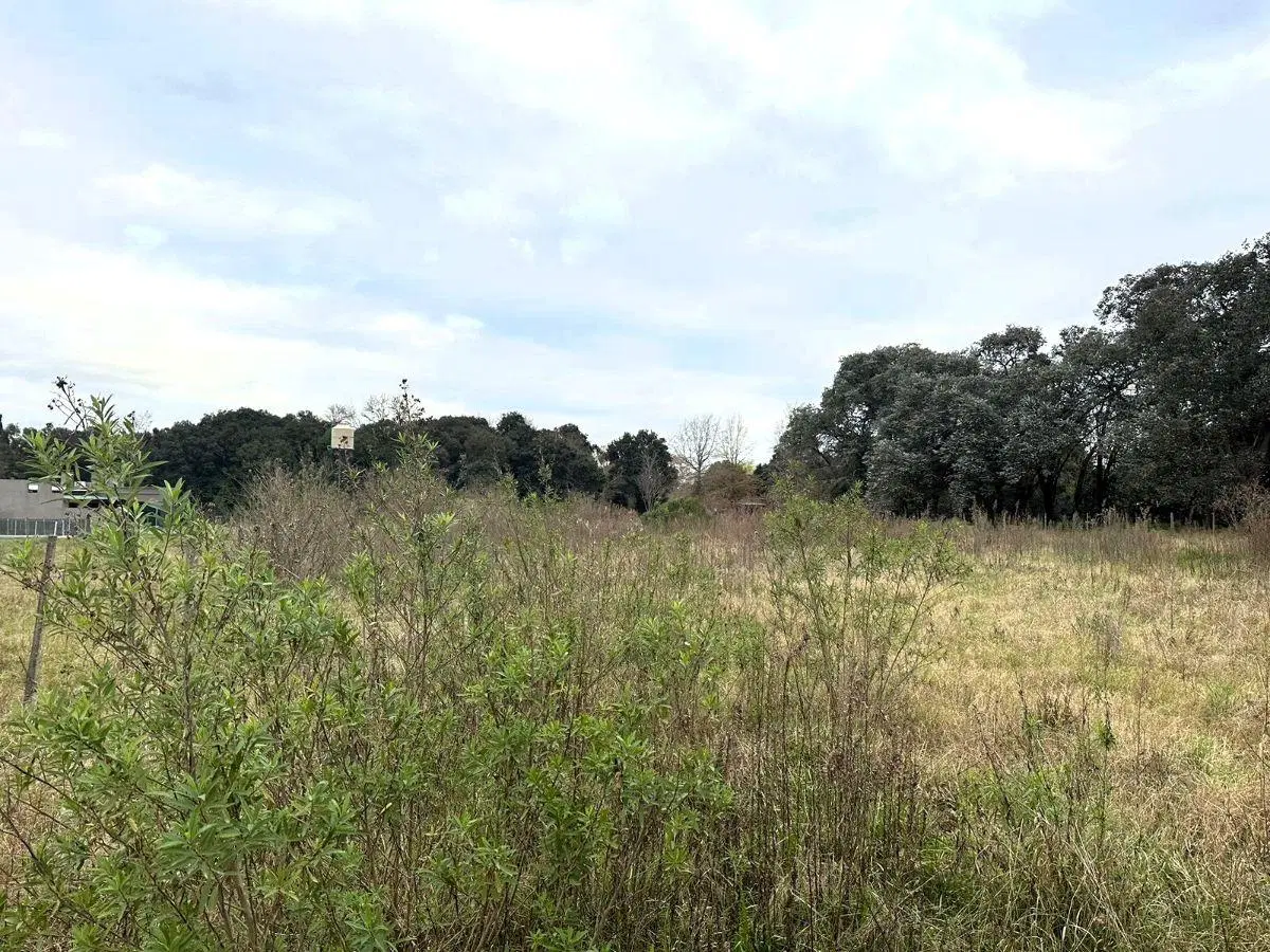 VENTA| Terreno S.A. de Areco 4