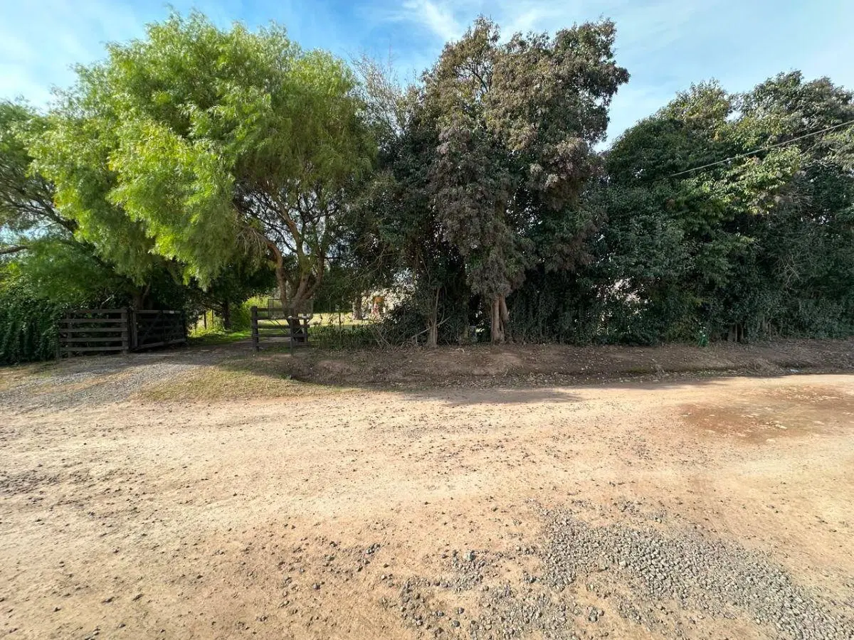 Venta 3 Parcelas Linderas 5