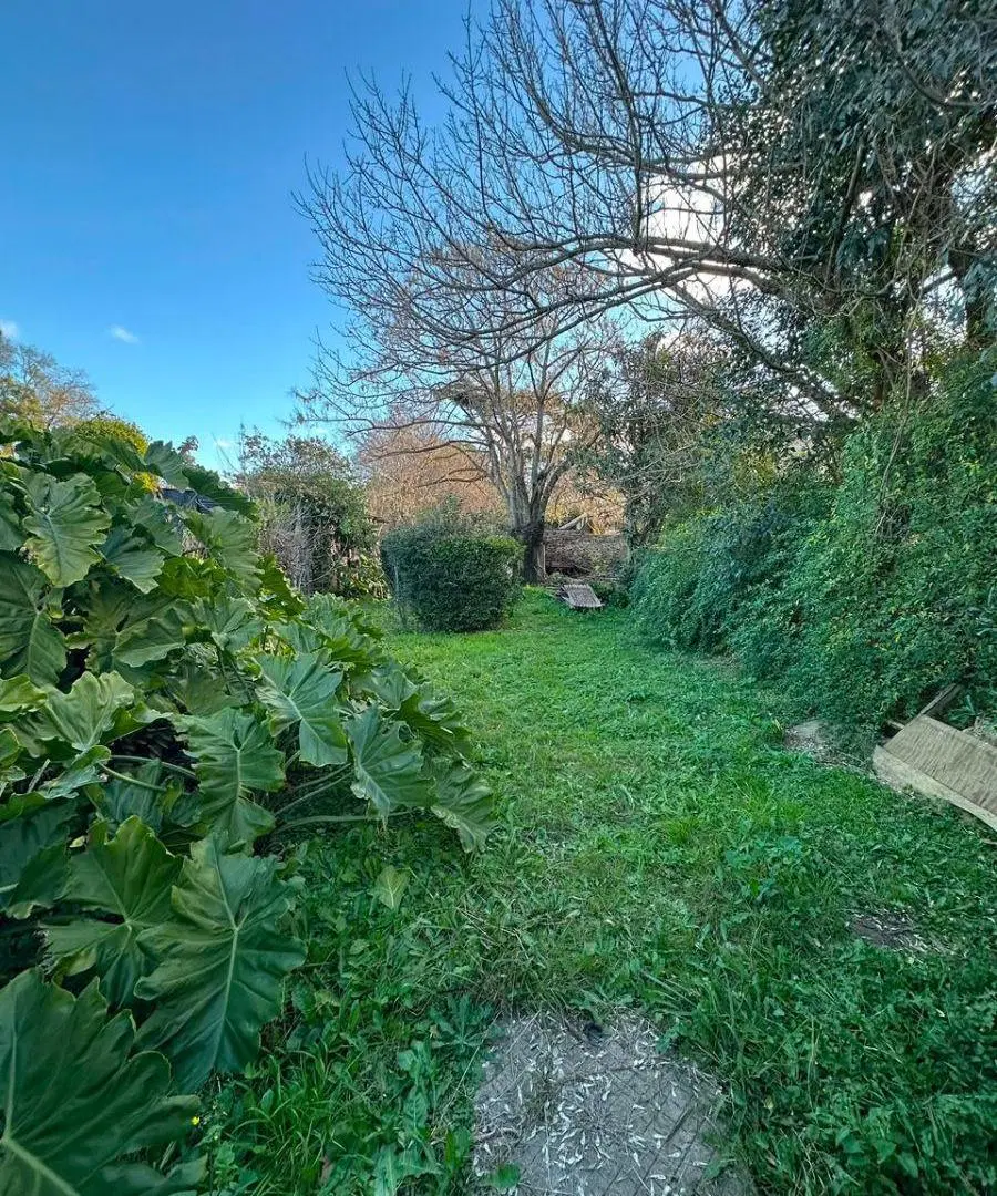 Casa en Venta para refaccionar en S.A. de Areco 8