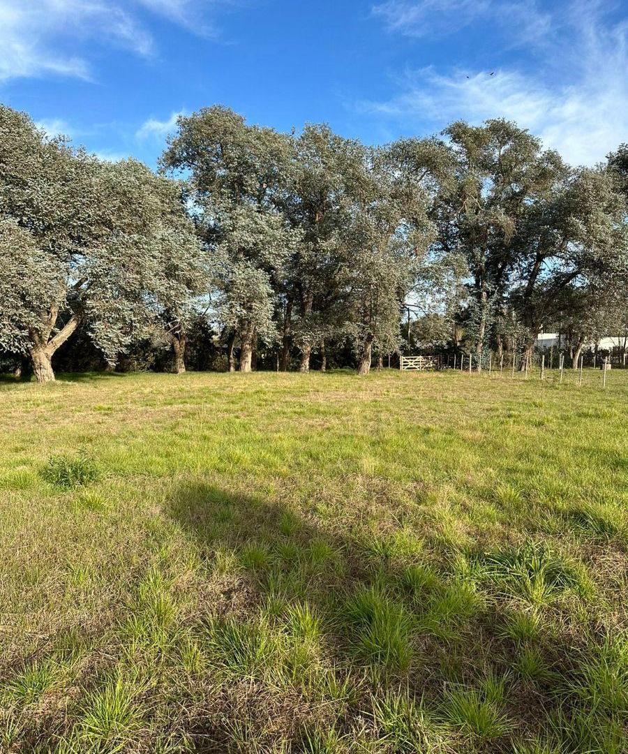 Foto de NUEVO-TERRENO VENTA- Imperdible, imagen 2