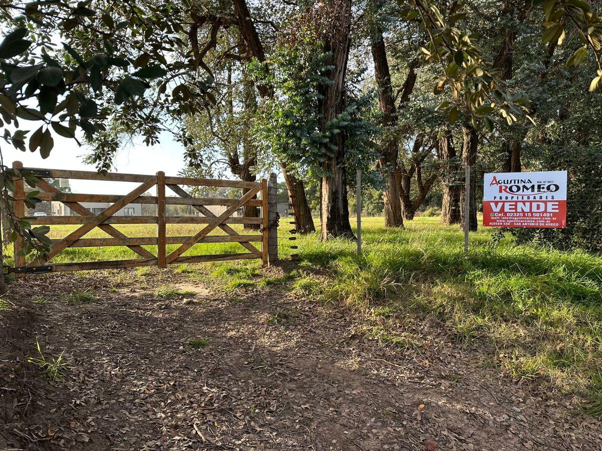 Foto de NUEVO-TERRENO VENTA- Imperdible, imagen 1