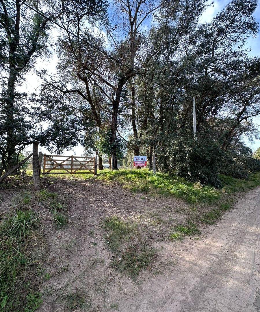 Foto de NUEVO-TERRENO VENTA- Imperdible, imagen 3