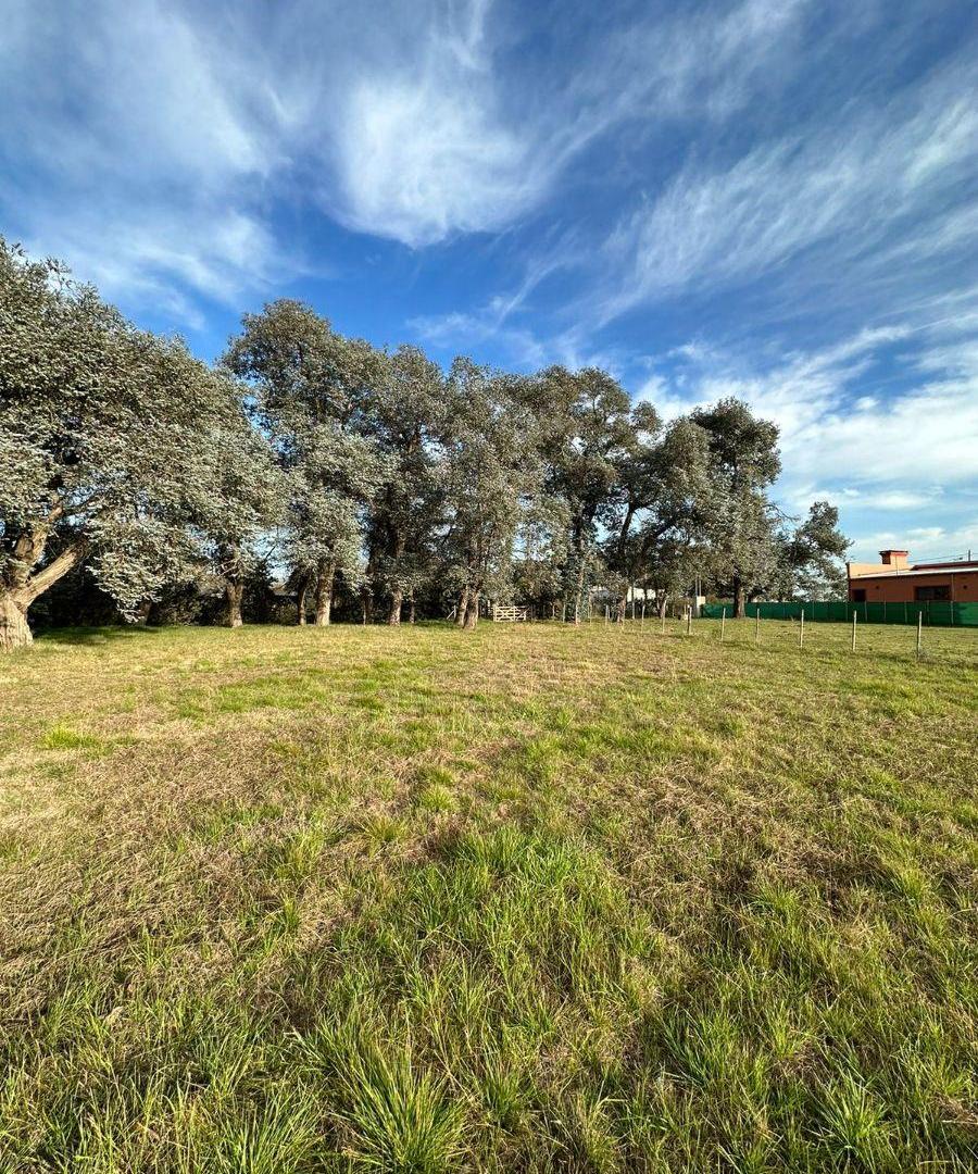 Foto de NUEVO-TERRENO VENTA- Imperdible, imagen 5