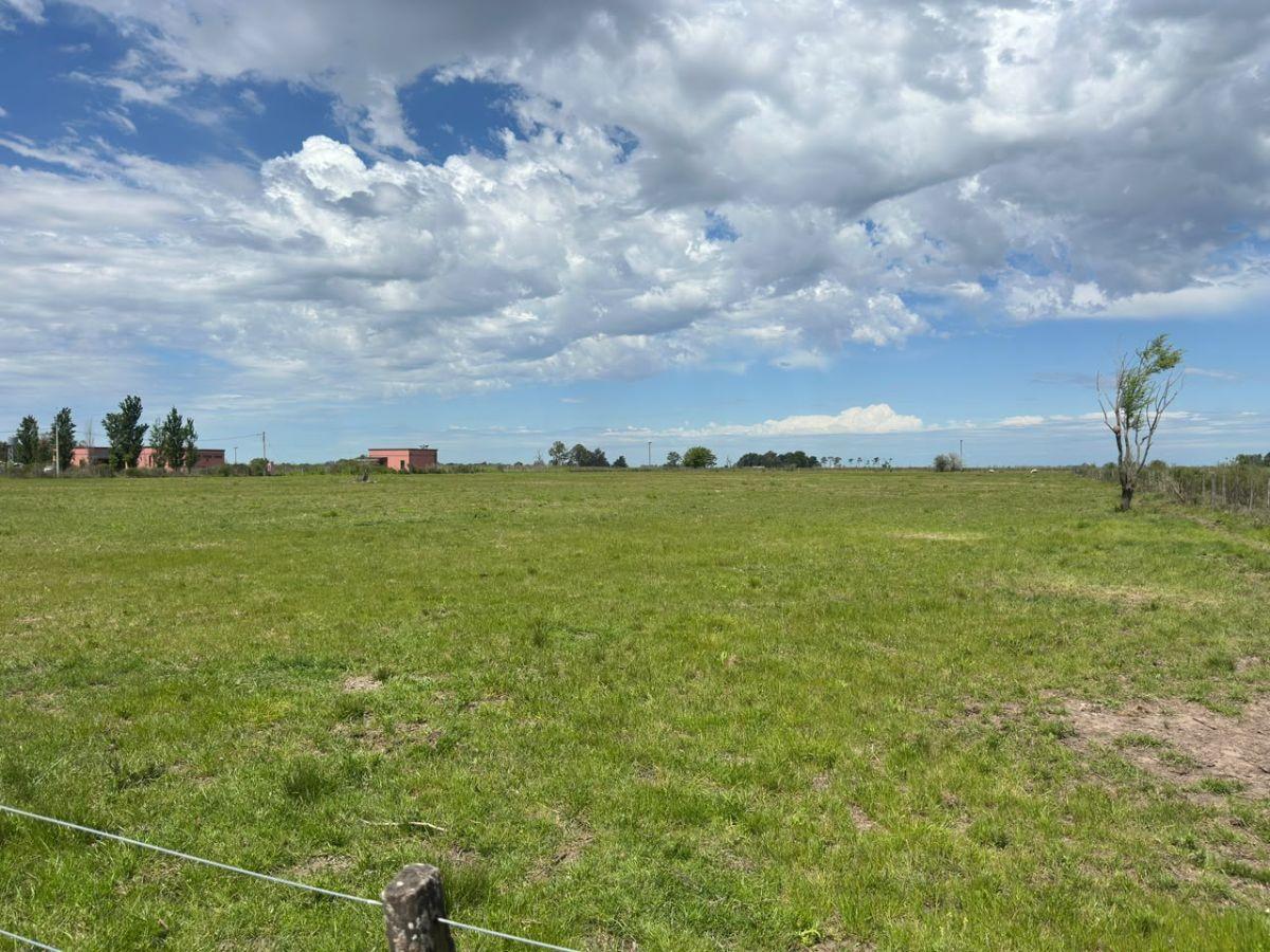 Venta Chacra