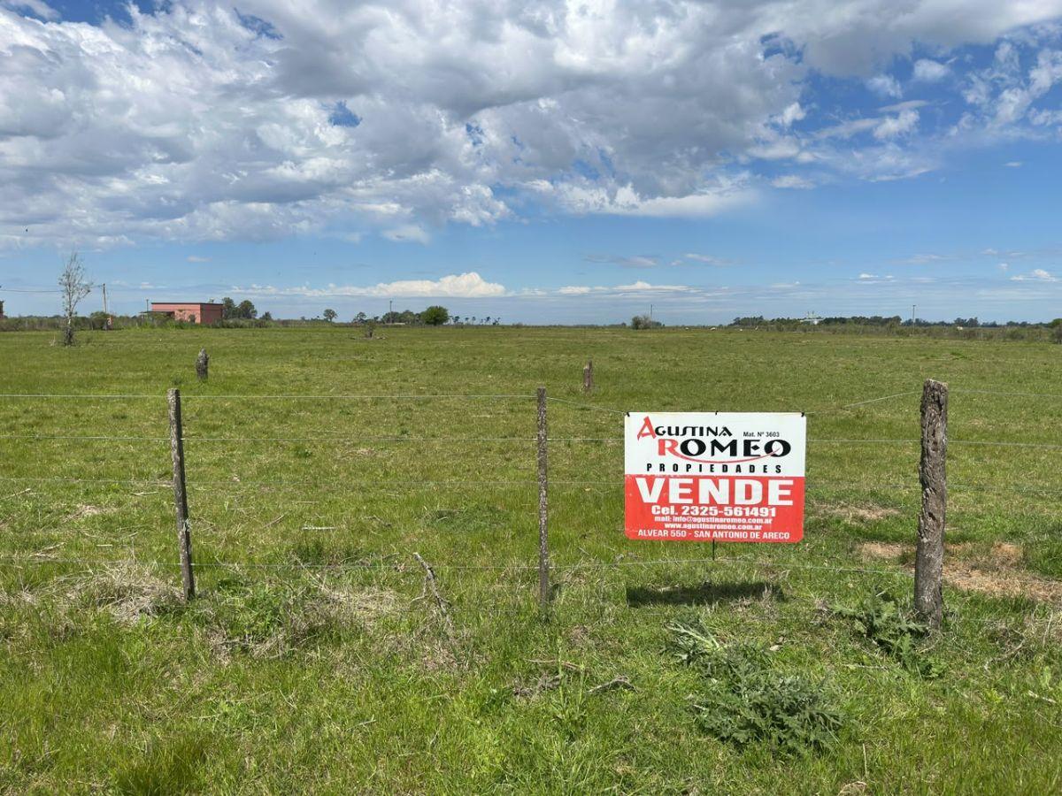 Foto de Venta Chacra, imagen 2