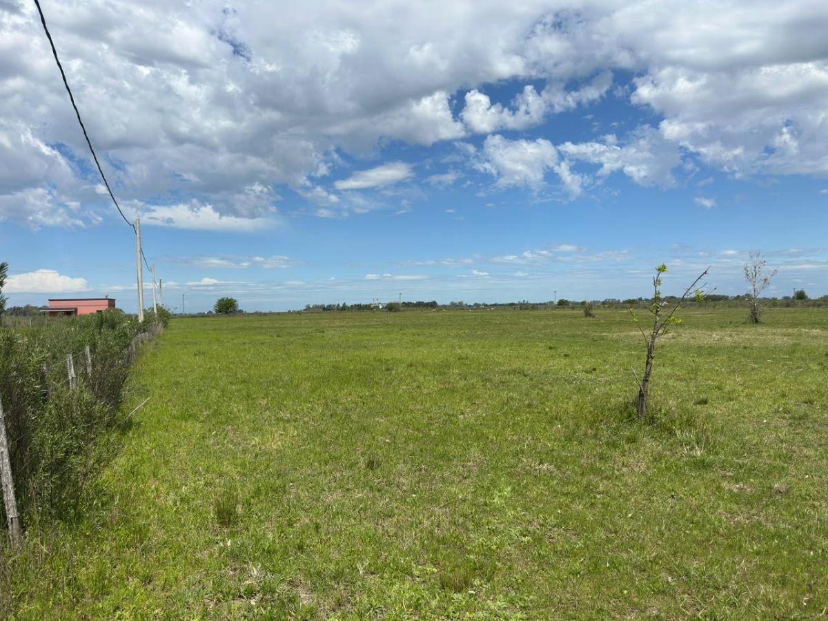 Foto de Venta Chacra, imagen 3