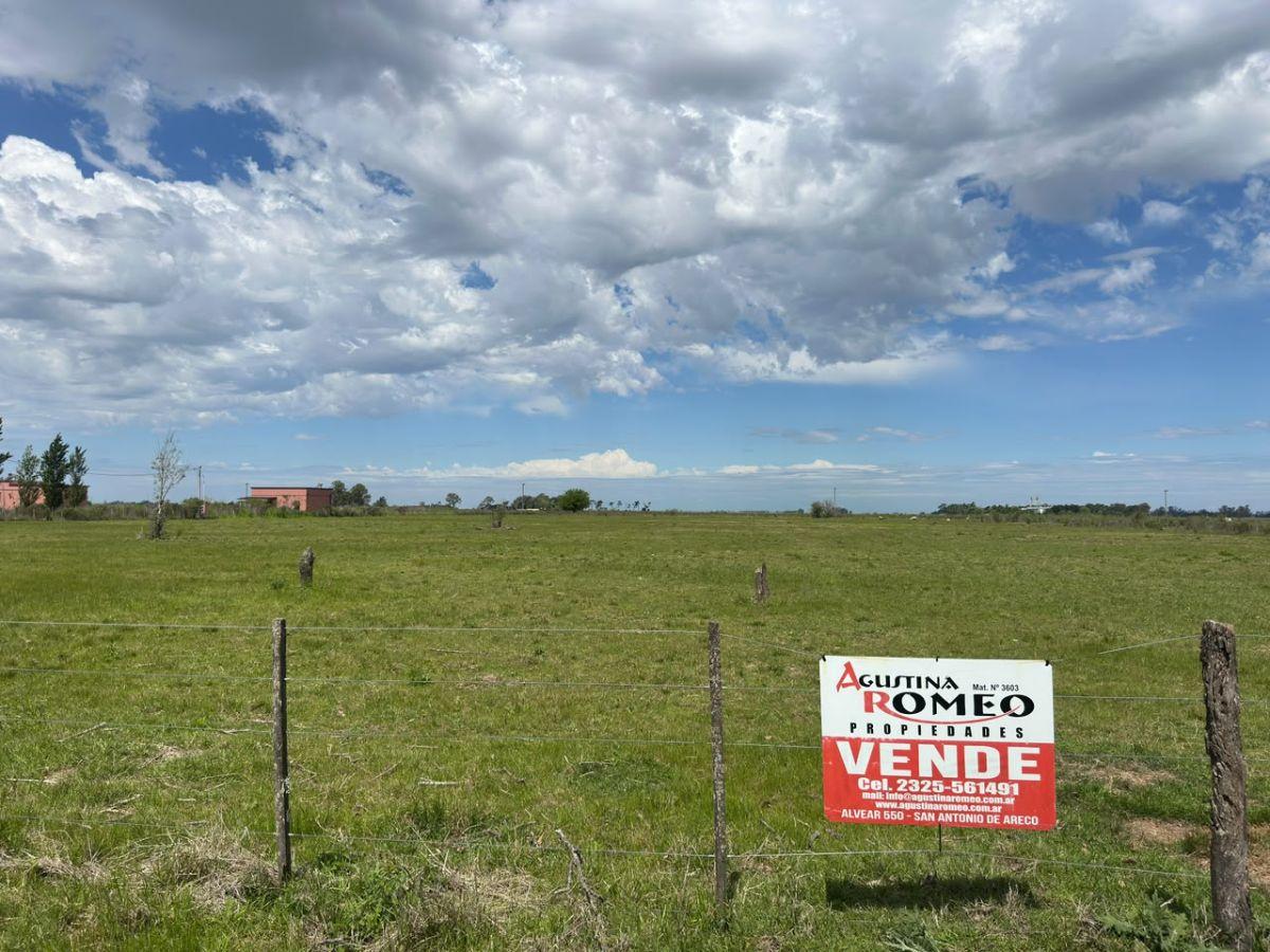 Foto de Venta Chacra, imagen 4
