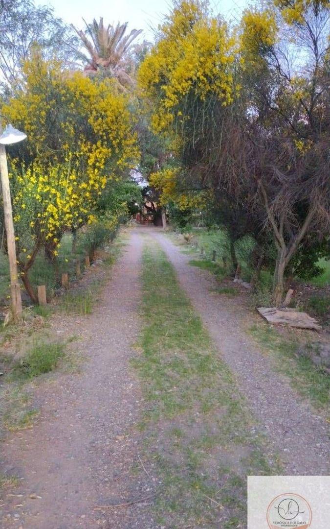 VENTA DOS CABAÑAS EN FUNCIONAMIENTO C/ PISCINA-LAS PAREDES- SAN RAFAEL - MENDOZA