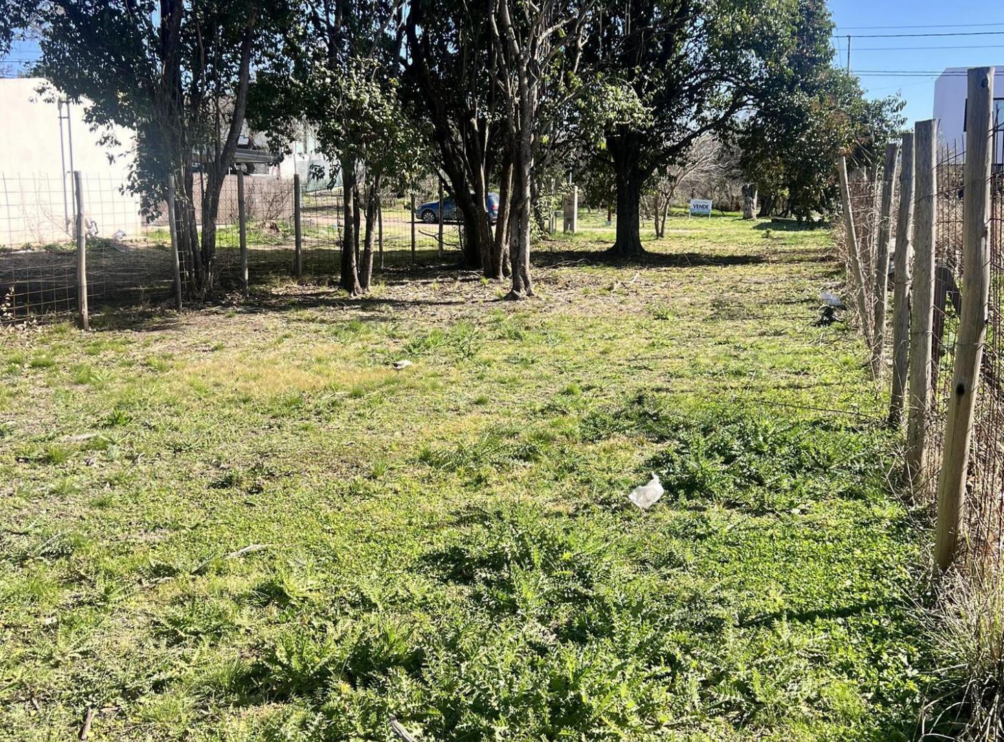 Foto de Vivi rodeado de naturaleza!! Lote en venta en Villa Catalina, imagen 3