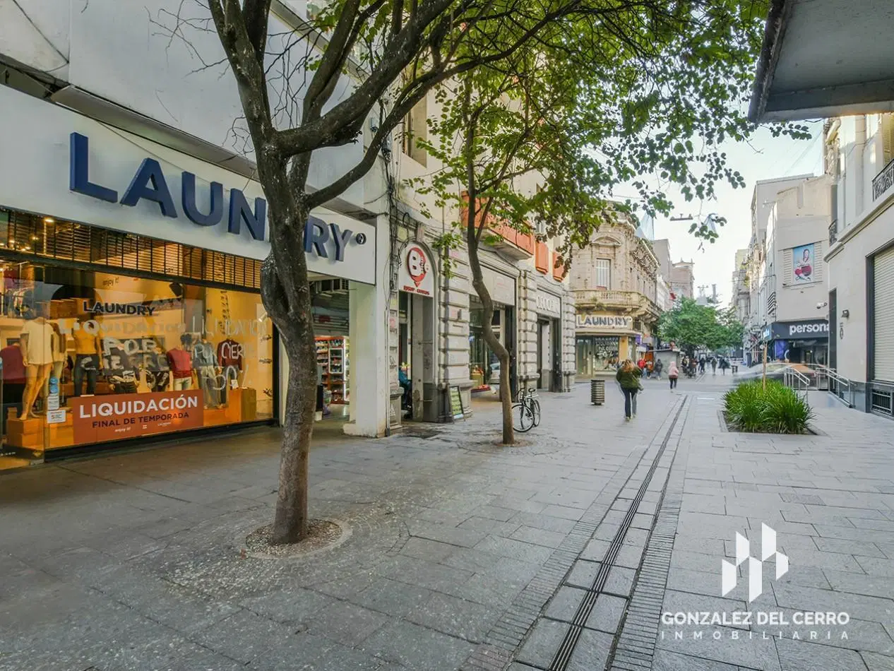 Local peatonal Cordoba en alquiler 3