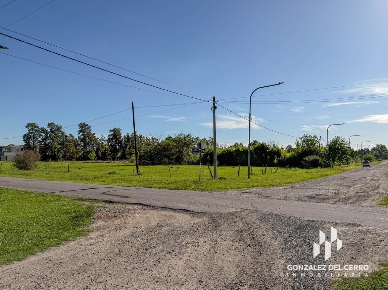 Foto de Terreno de 1000 m² en Hostal del Sol | Irazusta entre 20 de Noviembre y, imagen 2