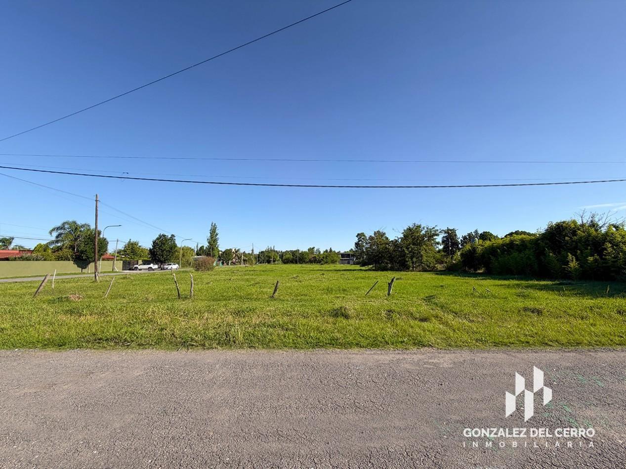 Foto de Terreno de 1000 m² en Hostal del Sol | Irazusta entre 20 de Noviembre y, imagen 3