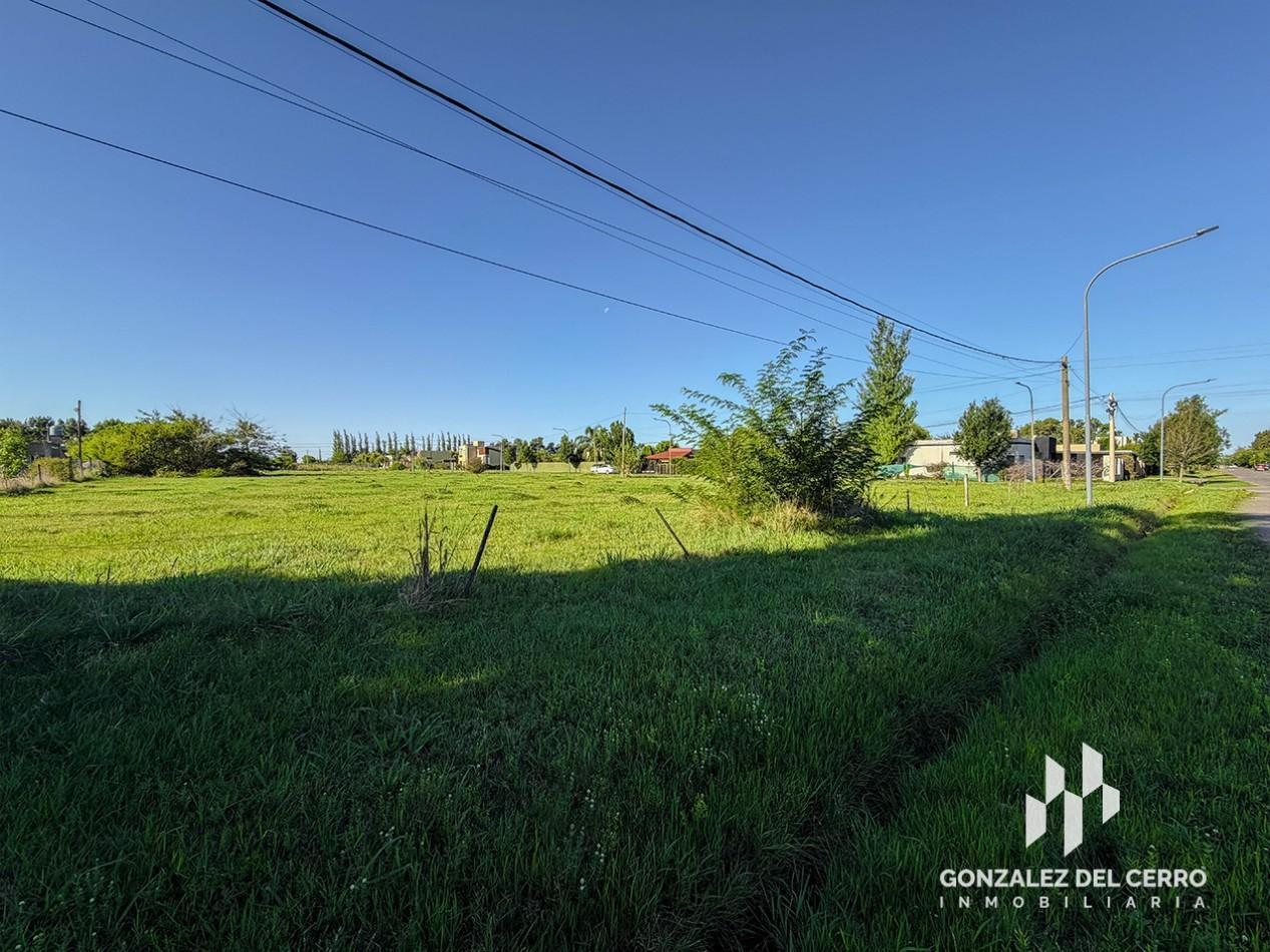 Foto de Terreno de 1000 m² en Hostal del Sol | Irazusta entre 20 de Noviembre y, imagen 4