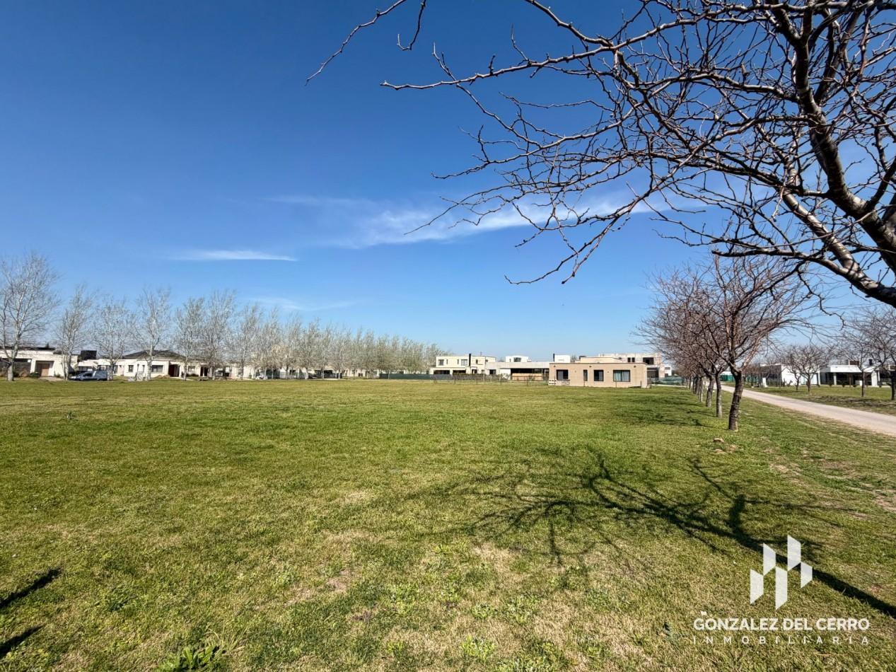 Foto de Lote 1035 m2 en Haras de Funes, imagen 5