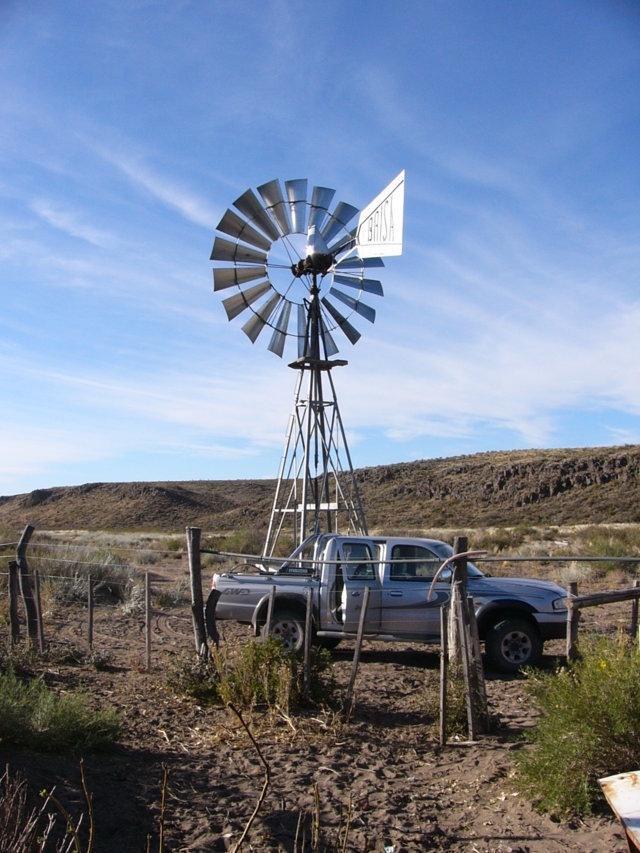 Campo Ganadero con Abundante Agua Mineral en San Rafael 3