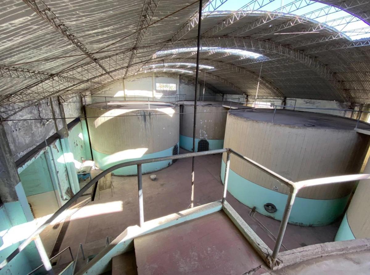 Foto de Bodega en San Rafael Mendoza, imagen 2