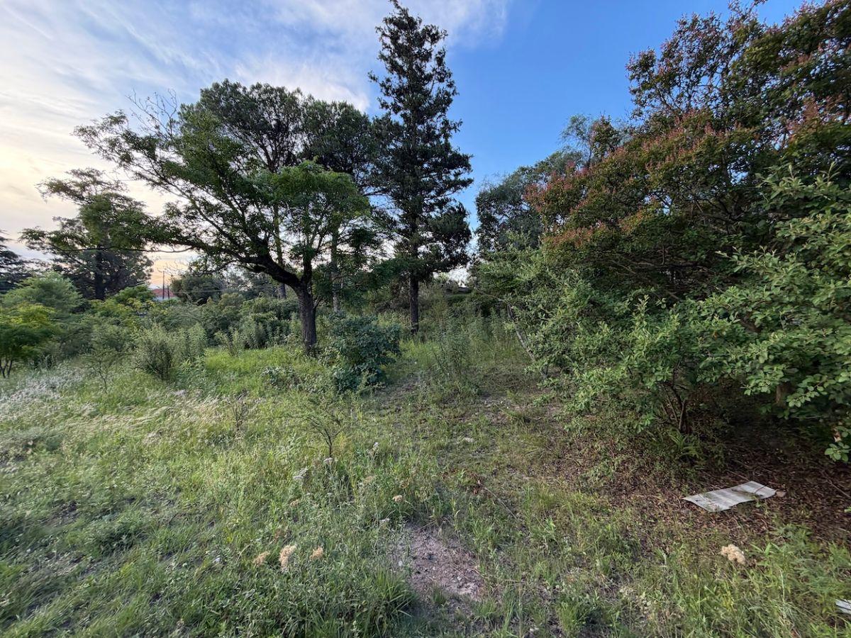 VENDO LOTE | 1200 M² | ARBOLADO | APTO ESCRITURA | B° EL ALTO
