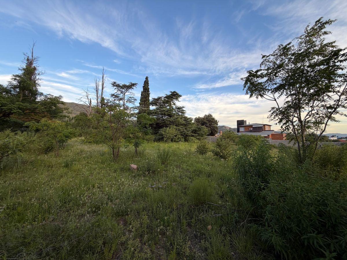 Vendo Lote | 1200 m² | Arbolado | Apto Escritura | B° El Alto