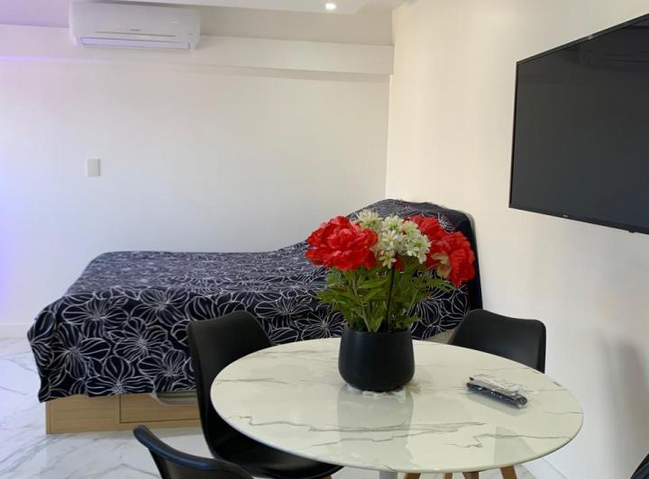 Departamento de 1 ambiente, Havanna.