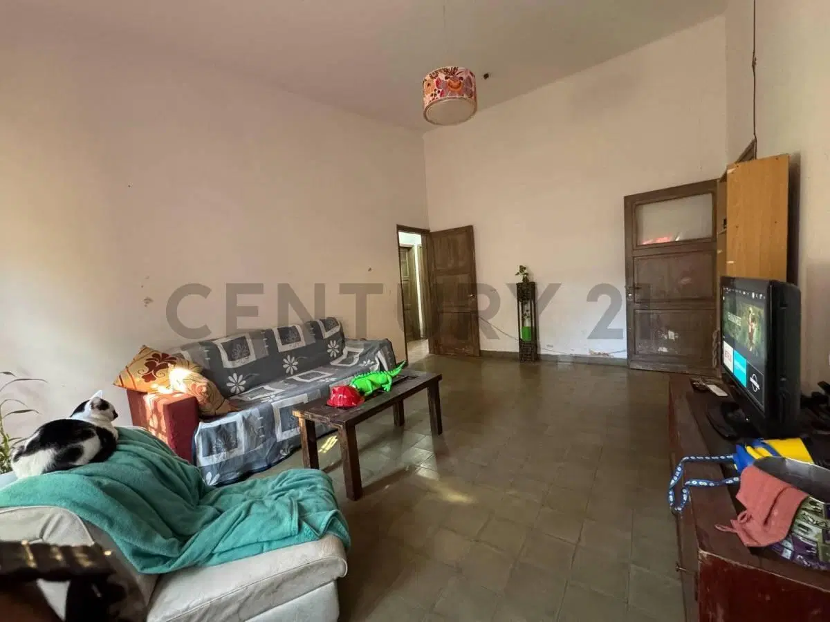 Casa de 3 Dormitorios en Barrio Residencial Olivos – Amplio Patio y Terreno de 370 m² 3