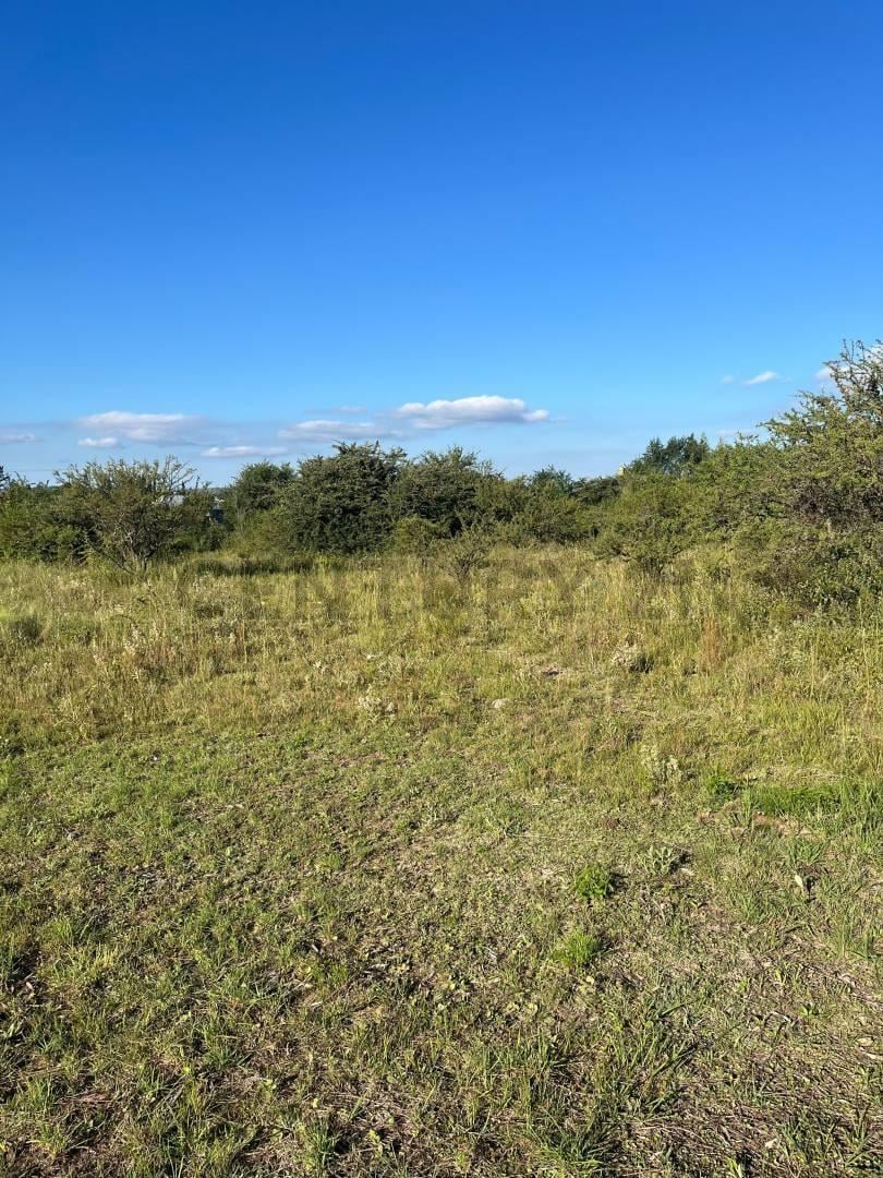 Venta terreno 1053 m2 en Los Espinillos