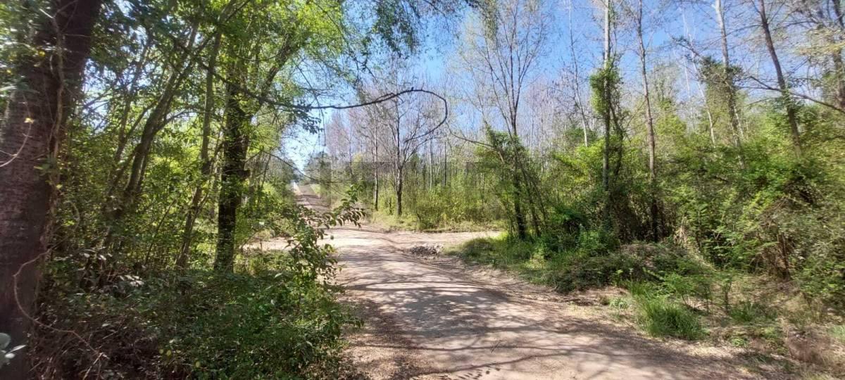 Foto de SE VENTE LOTE EN VILLA YACANTO, imagen 3
