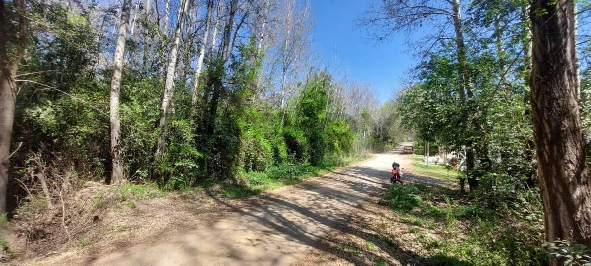 Foto de SE VENTE LOTE EN VILLA YACANTO, imagen 4