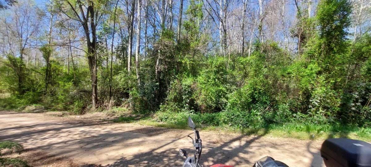 Foto de SE VENTE LOTE EN VILLA YACANTO, imagen 5