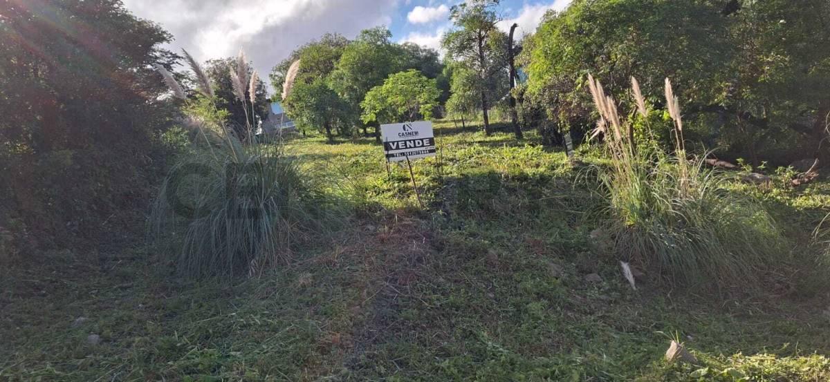 Foto de LOTE EN VENTA EN SIERRA NUEVA – MENDIOLAZA, imagen 2