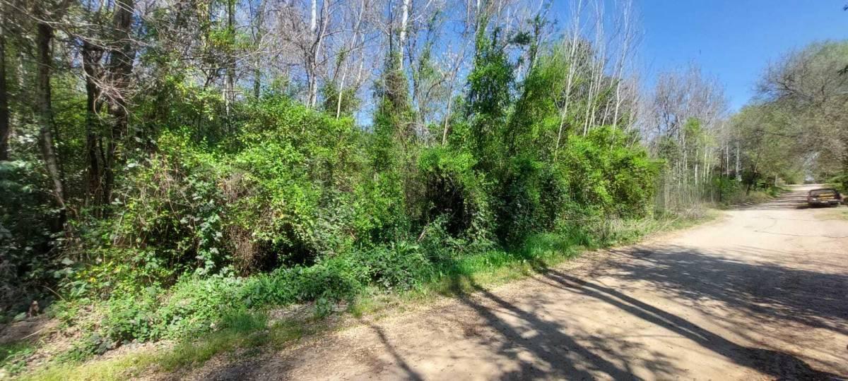 Foto de SE VENTE LOTE EN VILLA YACANTO, imagen 1