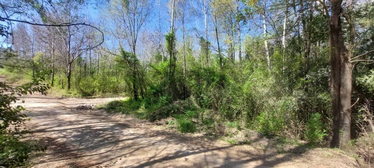 Foto de SE VENTE LOTE EN VILLA YACANTO, imagen 2