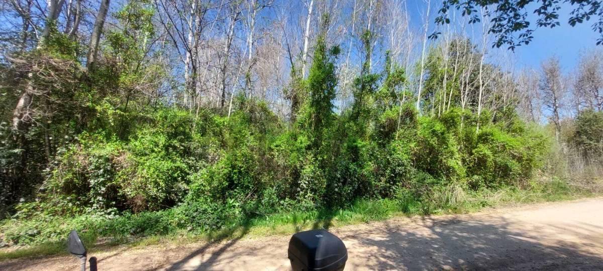 Foto de SE VENTE LOTE EN VILLA YACANTO, imagen 4