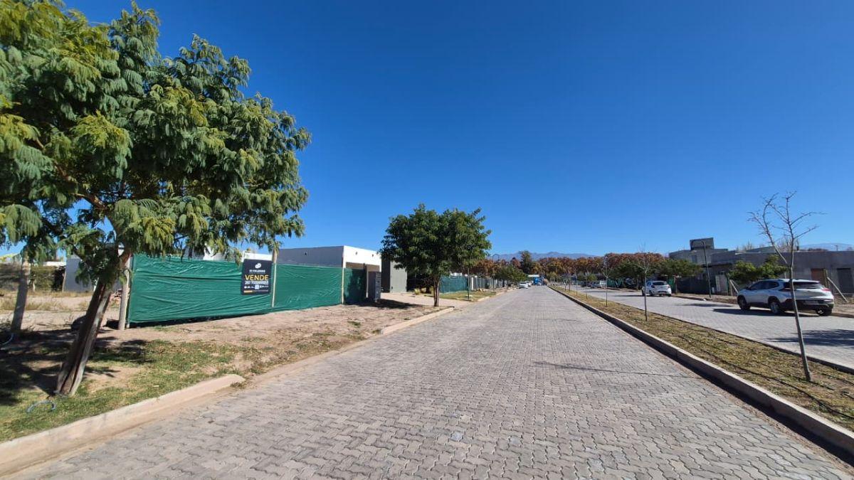 Venta de Terreno SOBRE BOULEVARD PRINCIPAL del Barrio Privado Pueblo Malbec