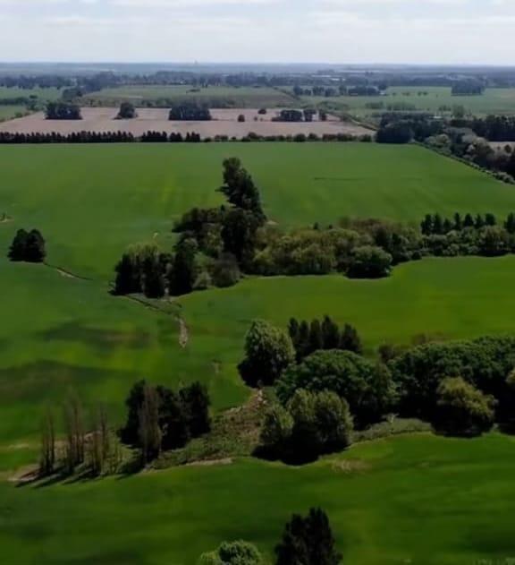 Venta, Terreno, Campo, Cardales, Exaltación de la Cruz