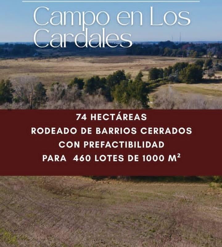 Foto de Venta, Terreno, Campo, Cardales, Exaltación de la Cruz, imagen 3