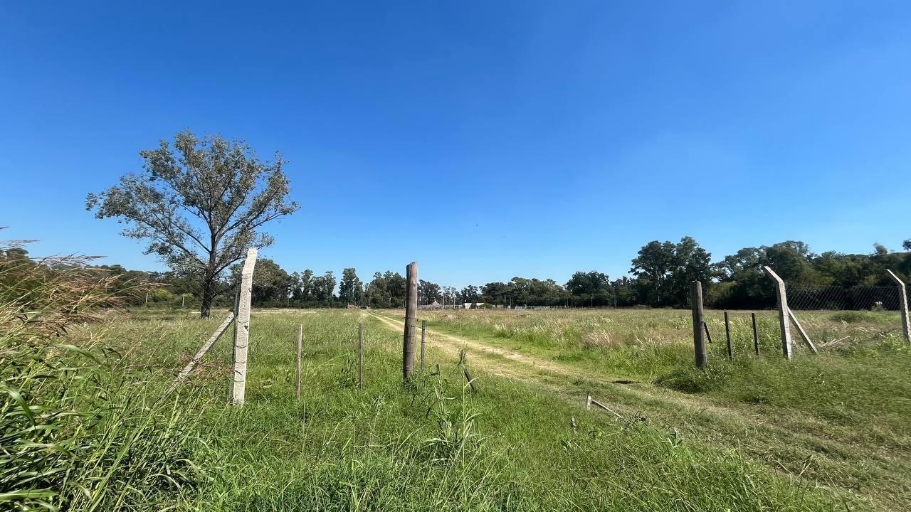 Venta, lote, 400 m2, Francisco Alvarez