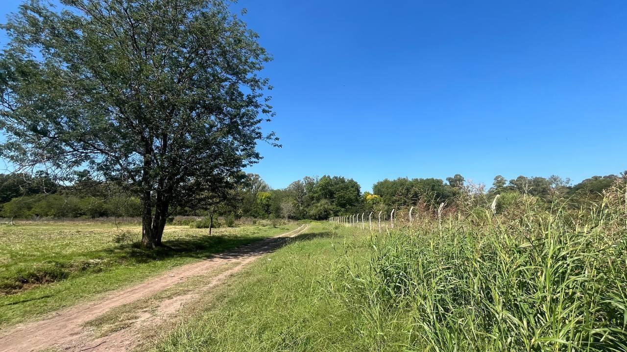 Foto de Venta, lote, 400 m2, Francisco Alvarez, imagen 3