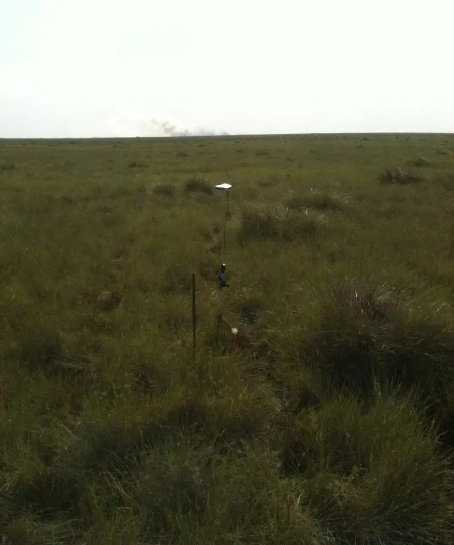 Campo en Esteban Rams 1