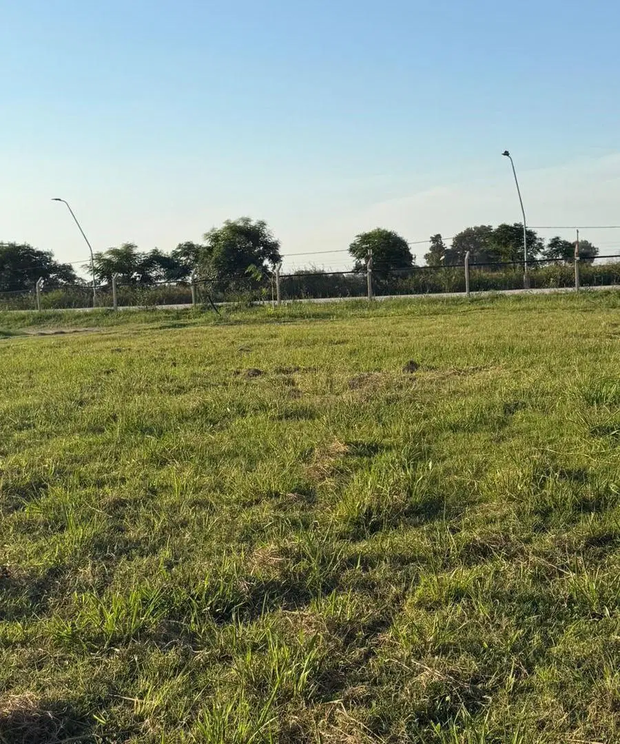 Terreno en Santo Tome 5
