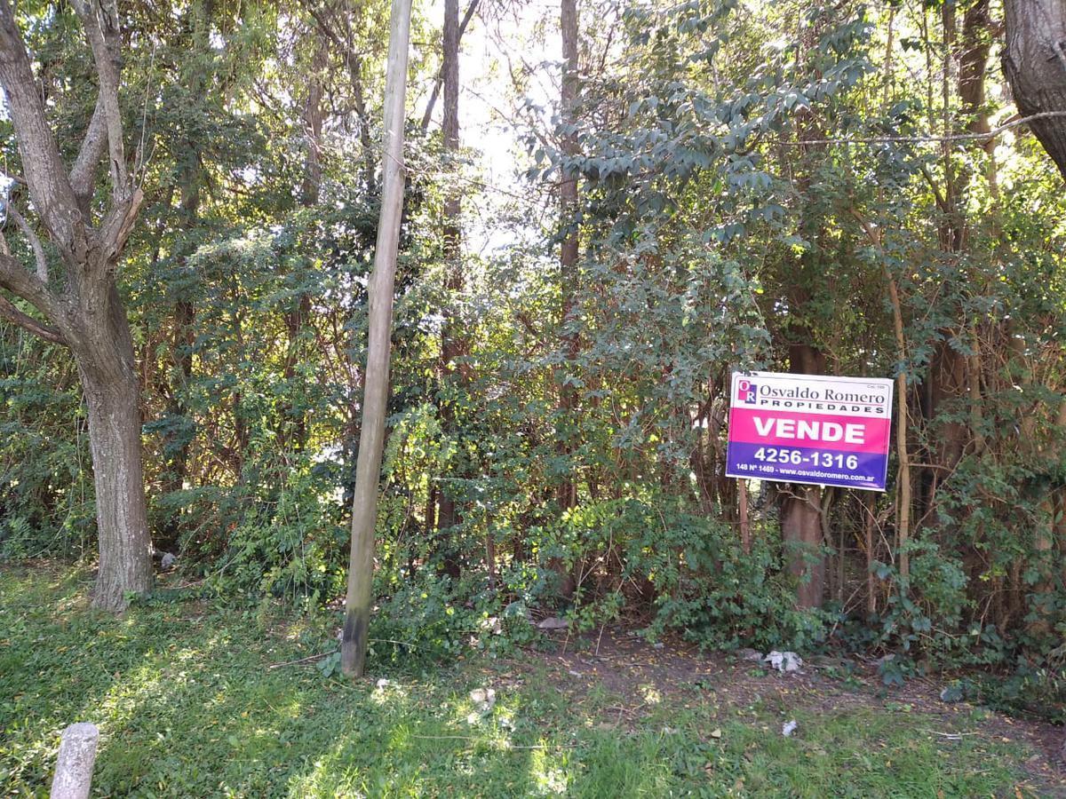 Foto de Terreno - Ranelagh, imagen 2