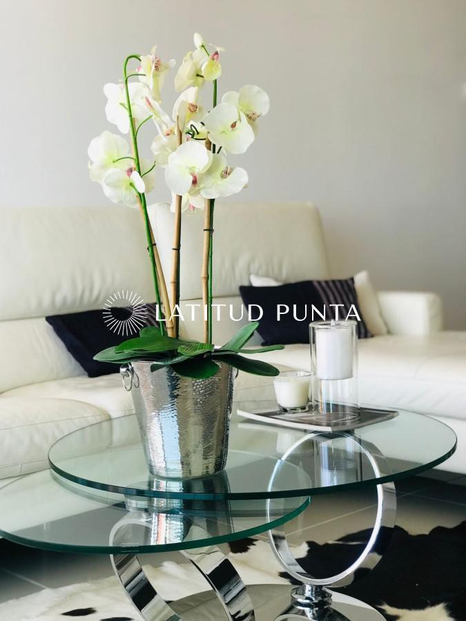 Foto de Apartamento 2 dormitorios y medio. Brava, imagen 1