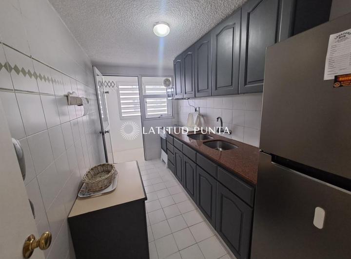 Apartamento de  dos dormitorios en brava con vista y parrillero. 4